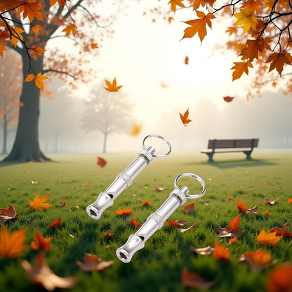 BWESOO 2Pcs Silver Adjustable Ultrasonic Dog Whistle, Portable Whistle Pet Whistle Supersonic Whistle Dog Whistles for Pet Training，Training and Behavior Aids, Dog Whistles