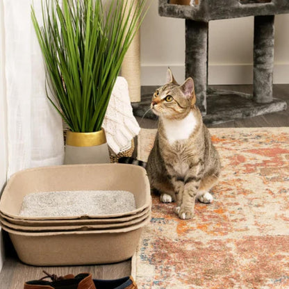 Kitty Sift (Set of 1 Litter Box & 5 Sifting Liners) Disposable Sifting Cat Litter Box Large, 6 Count, Durable Portable for Travel and Home Odor Control