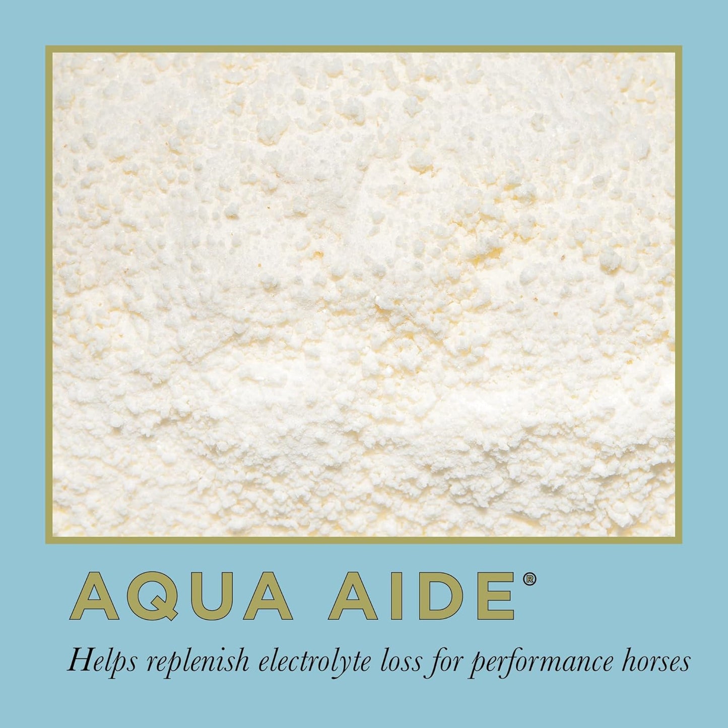 ProElite Aqua Aide, Electrolyte Horse Supplement, 15 lbs