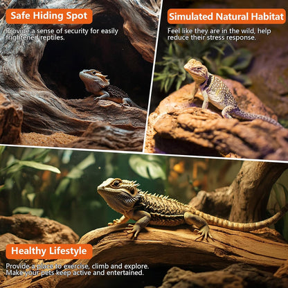 Driftwood for Aquarium Drift Wood for Fishtank: Aquarium Driftwood Freshwater Reptile Wood Reptile Log Snake Climbing Accessories Terrarium Decor for Leopard Gecko Small Snake Fish Tank