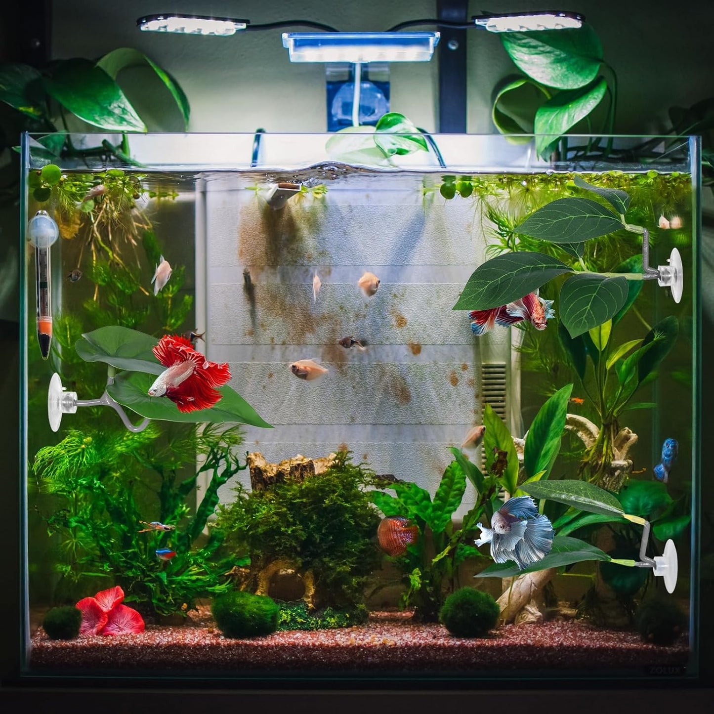 Betta Fish Hammock, 3 Pcs Betta Fish Leaf Pad Aquarium Plants Decor Simulating The Natural Habitat for Fish Tank Accessories Betta Sleeping Resting Playing Hiding Breeding with Plastic Suction Cup