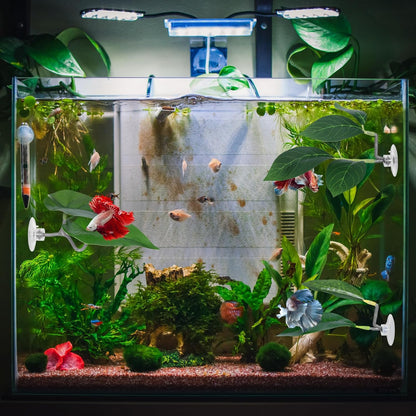 Betta Fish Hammock, 3 Pcs Betta Fish Leaf Pad Aquarium Plants Decor Simulating The Natural Habitat for Fish Tank Accessories Betta Sleeping Resting Playing Hiding Breeding with Plastic Suction Cup