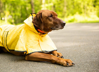 SPOT Rainy Days Slicker - Yellow Dog Rain Jacket With Hood, Reflective Strip for Safety, Leash Hole & Adjustable Velcro Belly Strap, 100% Polyester Water Resistant Pet Raincoat - Medium, 13in Long