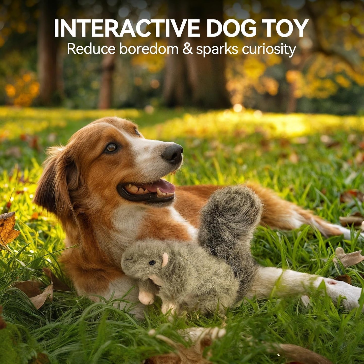 ALL FOR PAWS Classic Squirrel Pet Toys, Small and Orel Rabbit Squeaky Doy Toy Bundle