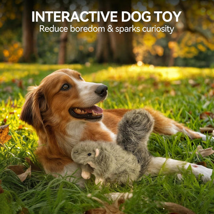 ALL FOR PAWS Classic Squirrel Pet Toys, Small and Orel Rabbit Squeaky Doy Toy Bundle