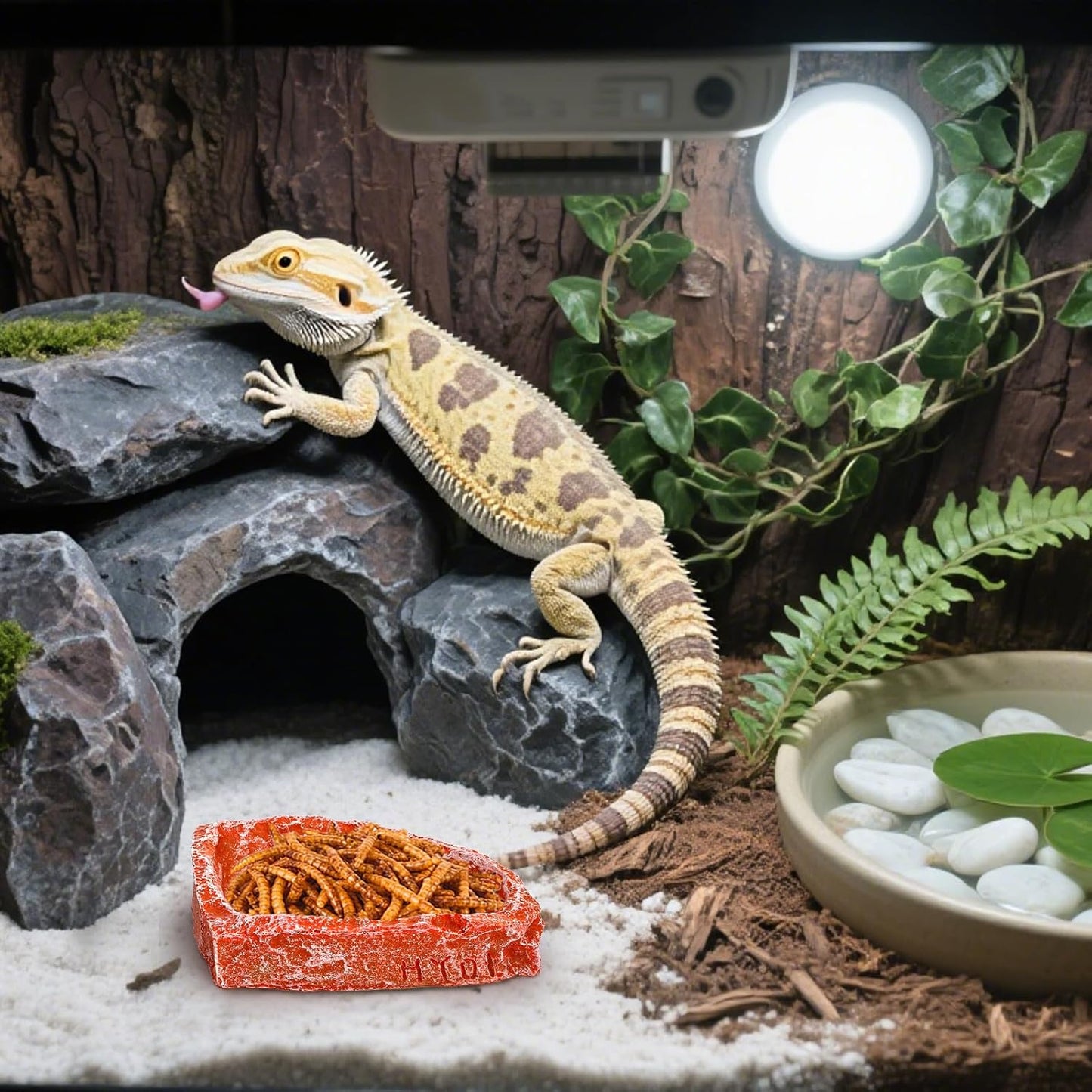 Frcctre 4 Pack Reptile Food Dish with Feeding Tongs, Resin Reptile Water Dish Food Bowl Feeding Terrarium Bowl for Leopard Gecko Lizard Tortoise Hermit Crab Bearded Dragon Chameleon, Orange