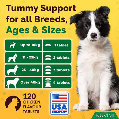 Probiotics for Dogs - Dog Probiotic & Prebiotic Tablets - Digestive Support Supplement for Gut Health, Tummy Relief, Itching, Diarrhea, Allergies, Bad Breath - 120 Chicken Flavor
