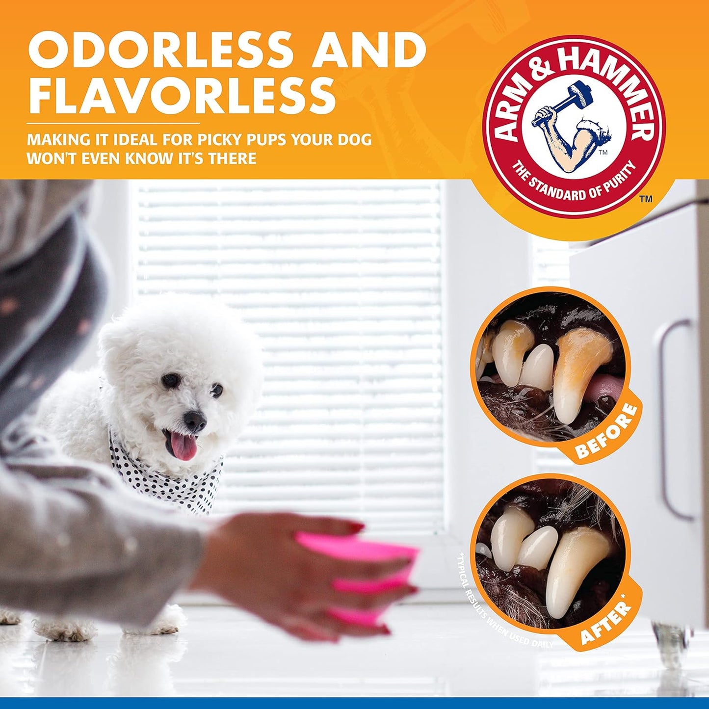 Arm & Hammer for Pets Combo Pack Dental Tartar Control Water Additive and Fresh Breath Vanilla Ginger Enzymatic Toothpaste | Includes 16 Oz Water Additive and 2.5 oz Dog Toothpaste