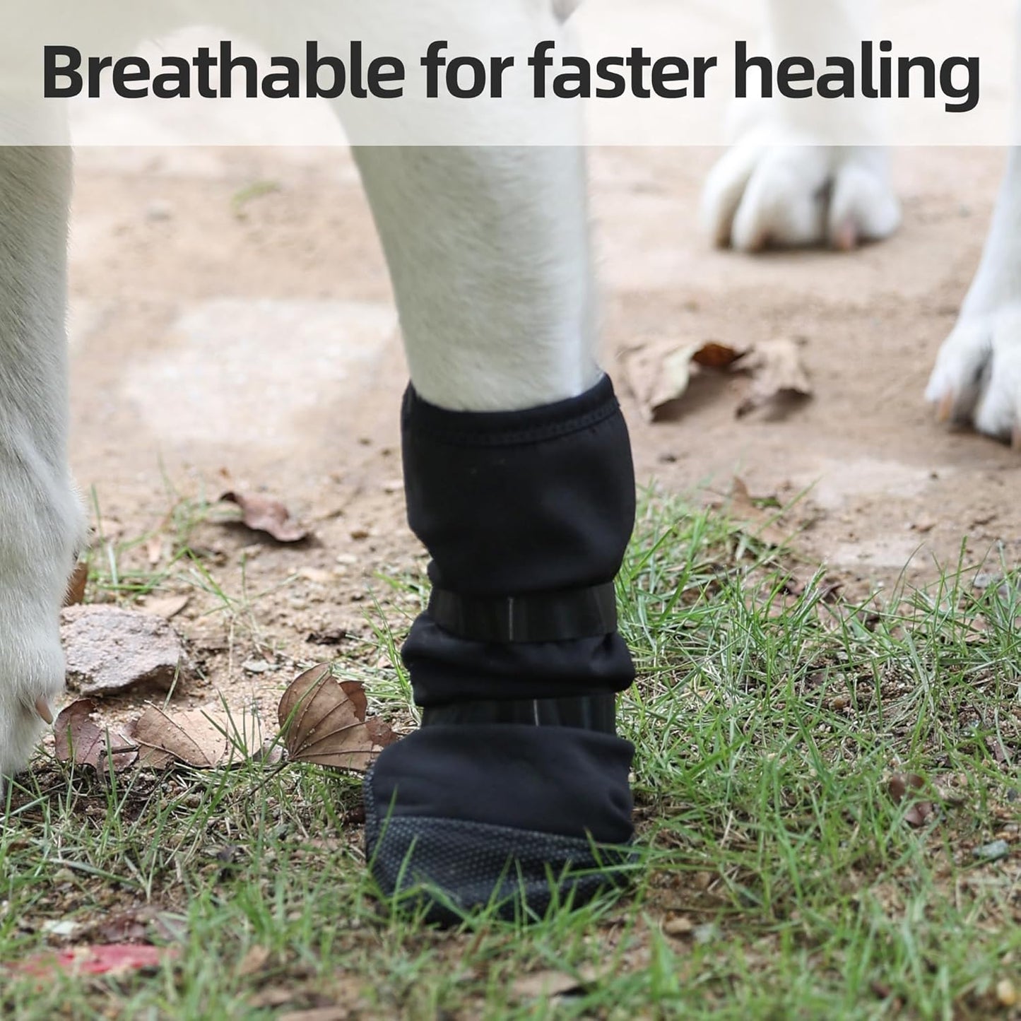ETIAL Dog Paw Wound Recovery Boot, Breathable Dog Bootie for Injured Paw, Anti-Slip Dog Shoe with Self-Adhesive Strap, Dog Paw Protector for Outdoor Walking & Keep Dogs from Licking Wounds (XL)
