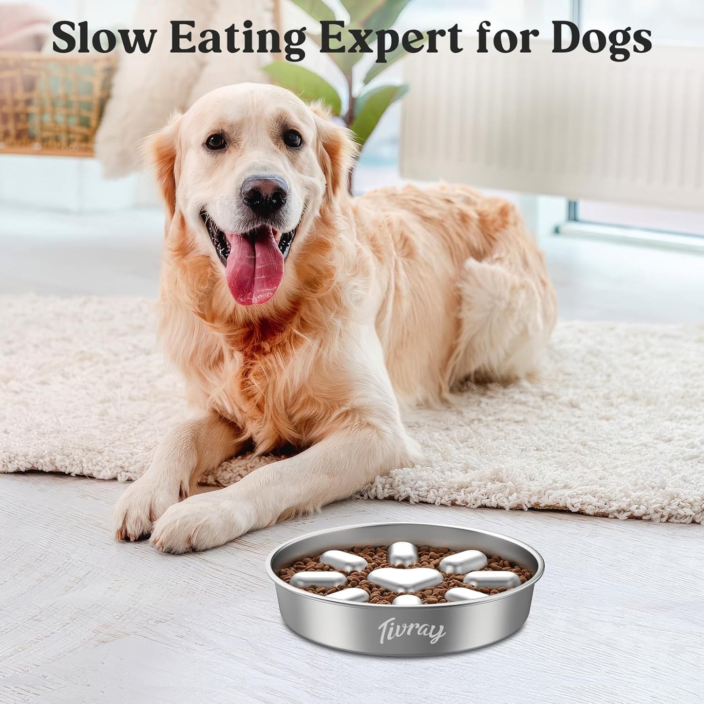 Slow Feeder Dog Bowls, 304 Stainless Steel Slow Feed Pet Bowl with Non-Slip Base for Medium Breed Dogs to Stop Bloat Prevent Choking, Dishwasher Safe, Silver