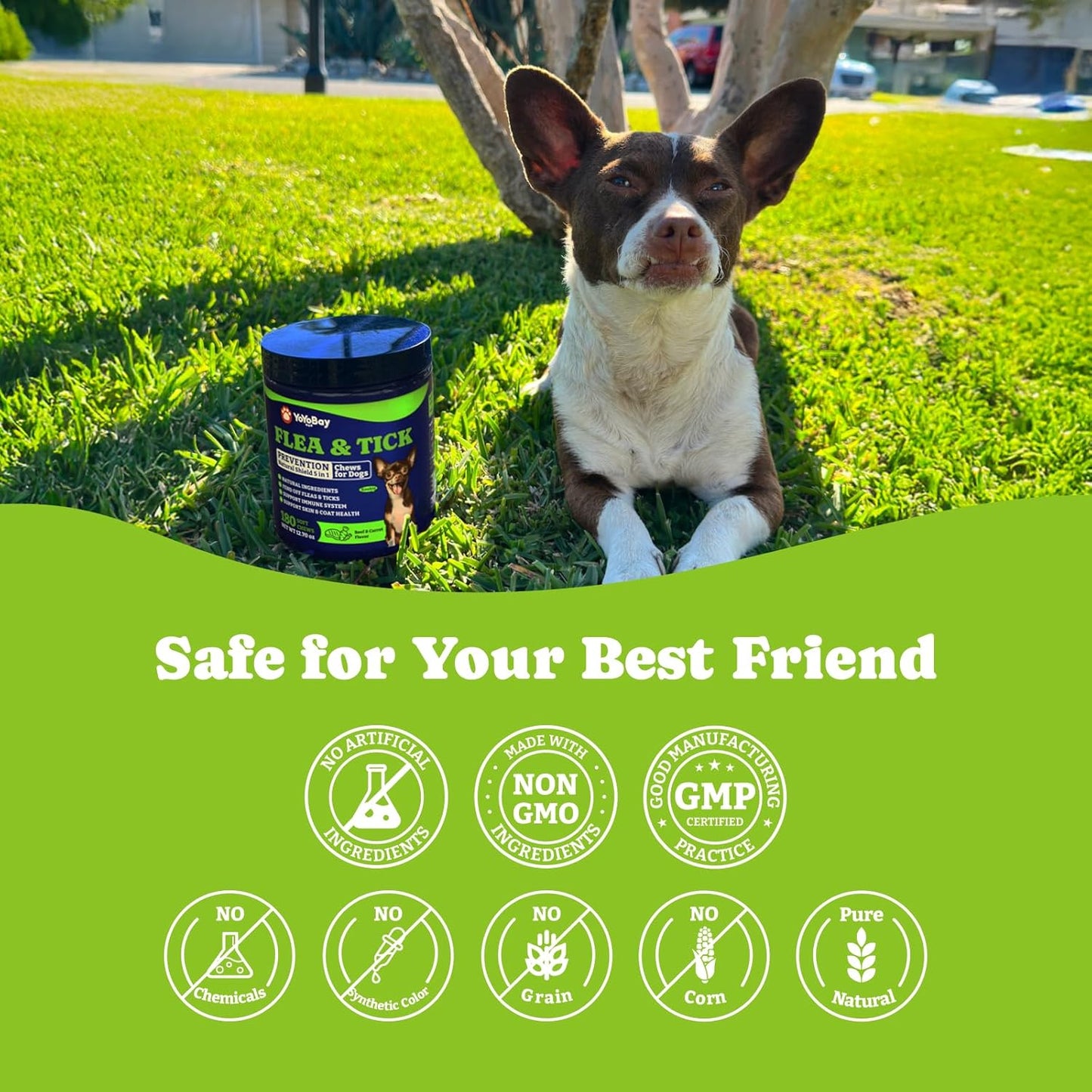 Flea & Tick Prevention for Dogs Chewables, Natural Dog Flea and Tick Control Treatment, Oral Flea Pills, Dogs Supplement, Natural Shield 5-in-1 Protection, Beef & Carrot Flavor, 180 Soft Chews