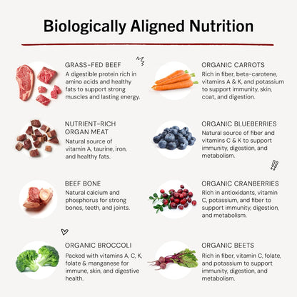 Stella & Chewy's Freeze-Dried Raw Dinner Patties - Beef Recipe - High Protein Grain-Free Puppy & Dog Food - Perfect For Picky Eaters - 25 oz