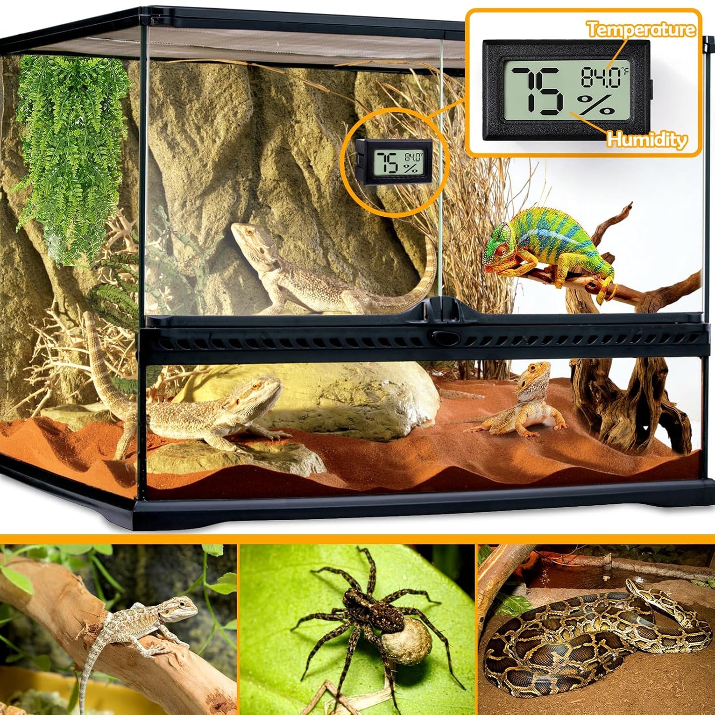 2 PCS Rectangle Reptile Thermometer and Humidity Gauge for Bearded Dragon Accessories, Reptile Tank Accessories for Jumping Spider, Leopard Gecko, Hermit Crab, Gecko, Ball Python, Lizard