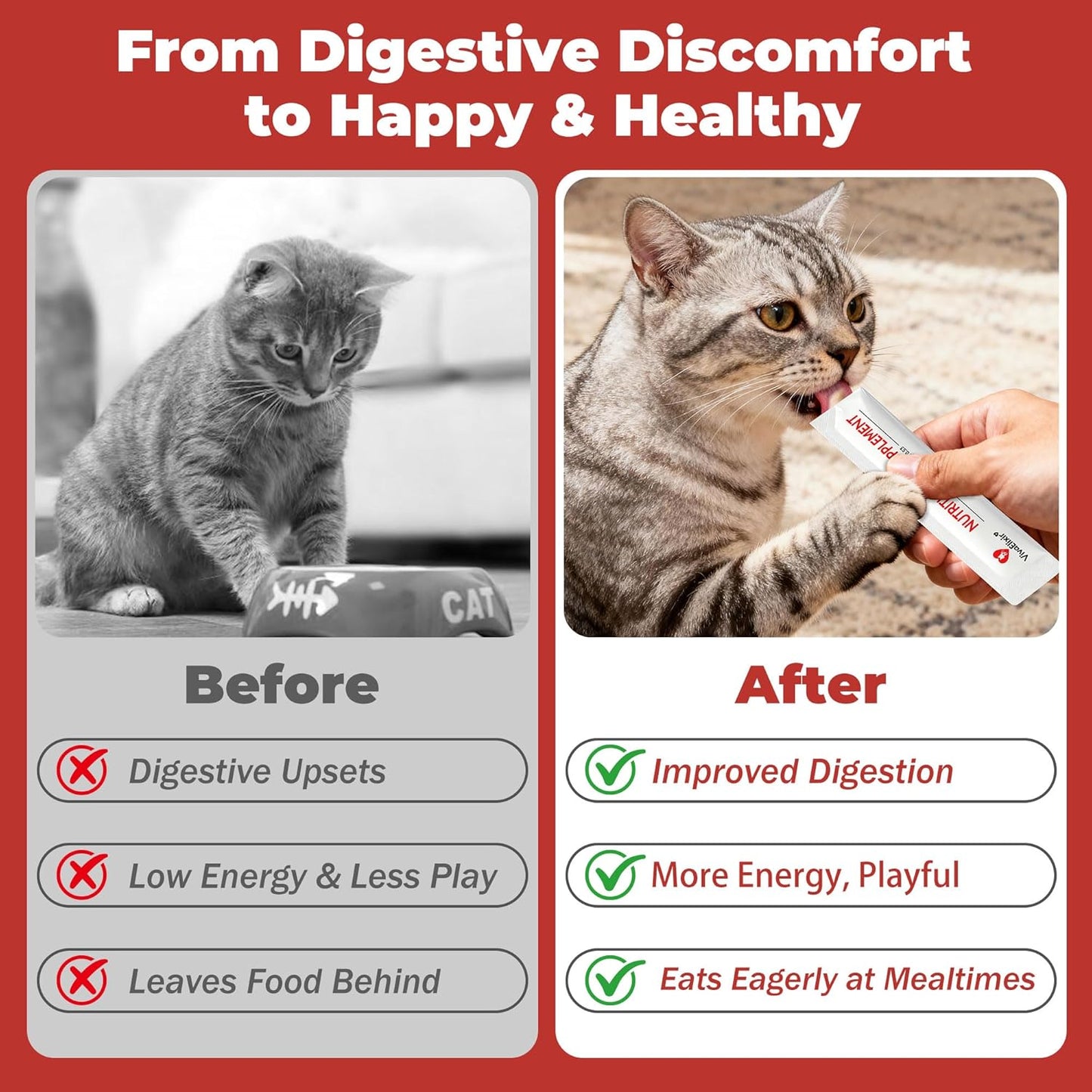 Probiotic Cat Bars for Cats | 8 Highly Active Probiotics + Prebiotics | Gastrointestinal Health | Chicken Flavor | Easy to Digest | Stool Fighter (12g x 30 Bars)