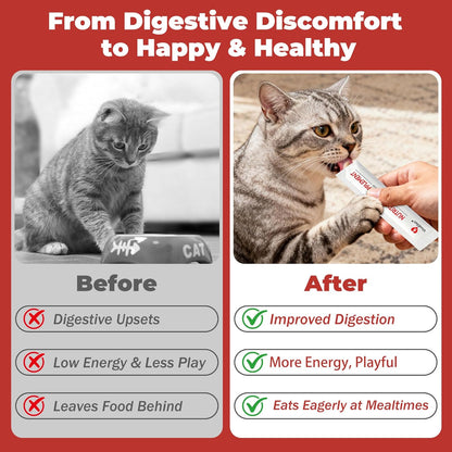 Probiotic Cat Bars for Cats | 8 Highly Active Probiotics + Prebiotics | Gastrointestinal Health | Chicken Flavor | Easy to Digest | Stool Fighter (12g x 30 Bars)