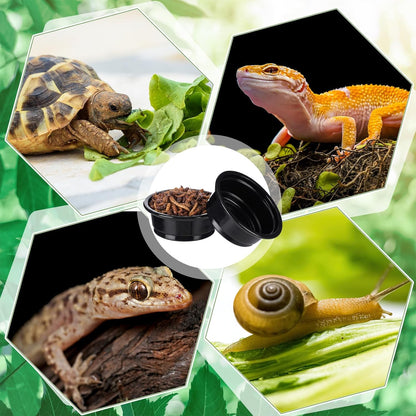 Maxcheck 500 Pcs 0.5 oz Gecko Feeding Cups Small Gecko Food and Water Cups Reptile Feeding Bowls Plastic Bearded Dragon Food Bowl for Lizard Small Pet Ledge Accessories (Black)