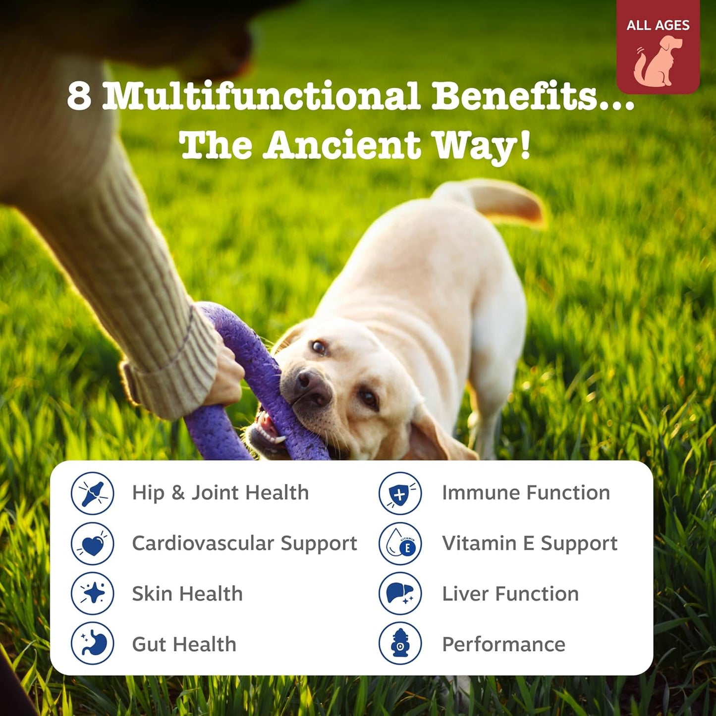 Zesty Paws Dog Multivitamin, Chewable Dog Vitamins and Supplements for Hip & Joints, Skin & Coat, Omega 3 Fish Oil for Dogs- Senior & Puppy Multivitamin - Bison- 90ct