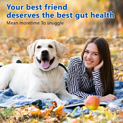 40-in-1 Dog Vitamins and Supplements, Dog Multivitamin Chewable with Glucosamine MSM - Turkey Tail Mushroom, Digestive Enzymes Gut Probiotics, Hip & Joint, Omega-3 Skin & Coat Eyes Immune Support