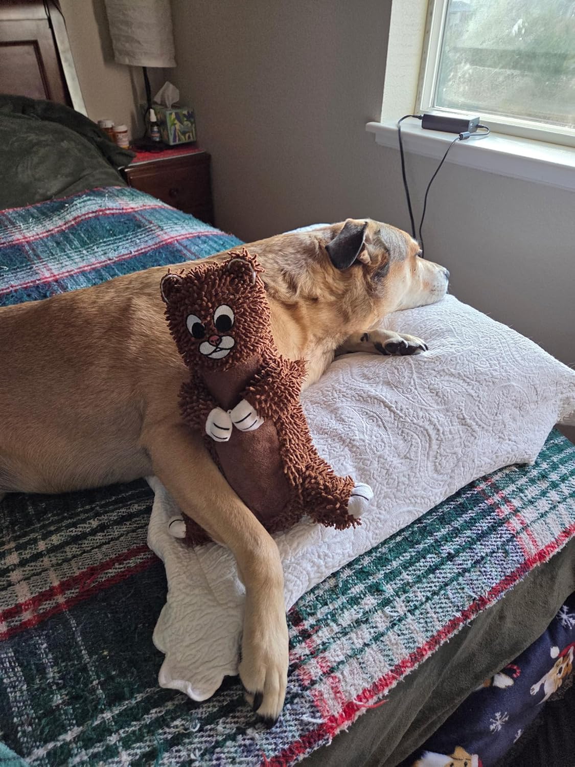 SNOODLE Tough Dog Chew Toy – Indestructible Fabric for Aggressive Chewers – Interactive Pet Toys & Puppy Teething Toys – Long Lasting Dog Chews – Small Dog Toys & Durable Puppy Chew Toys