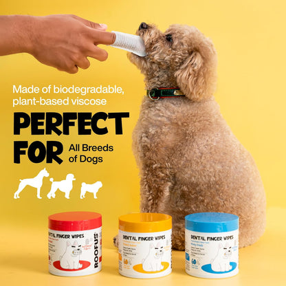 Dog Teeth Cleaning Wipes 60 Packs - Dental Wipes to Reduce Plaque & Tartar for Dogs & Cats - Mint Pet Dental Wipes for Oral Freshness - Dog Tooth Brushing Kit Dental Wipes
