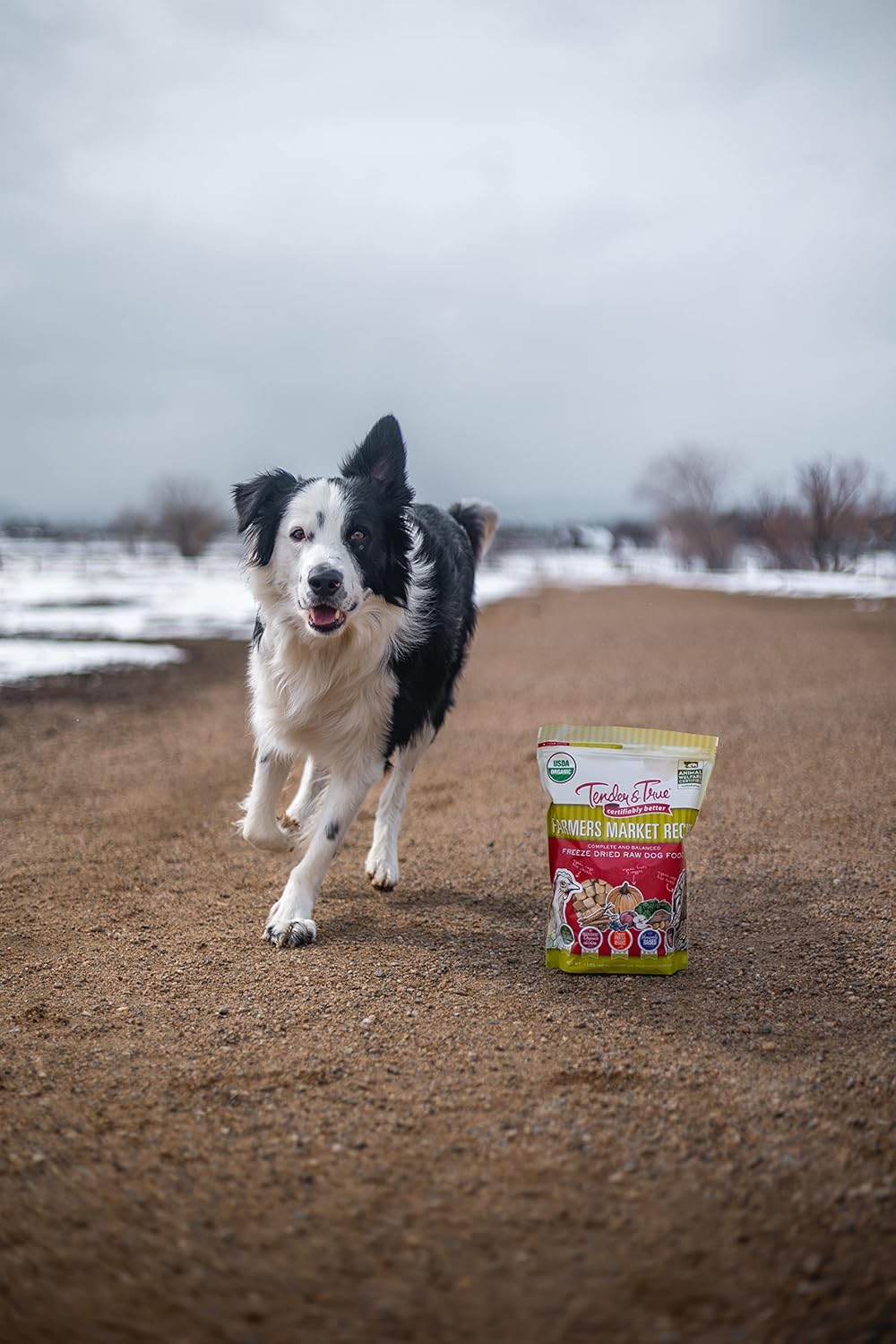 Tender & True Pet Nutrition Farmers Market Recipe Freeze Dry Raw Dog Food, 1 lb.