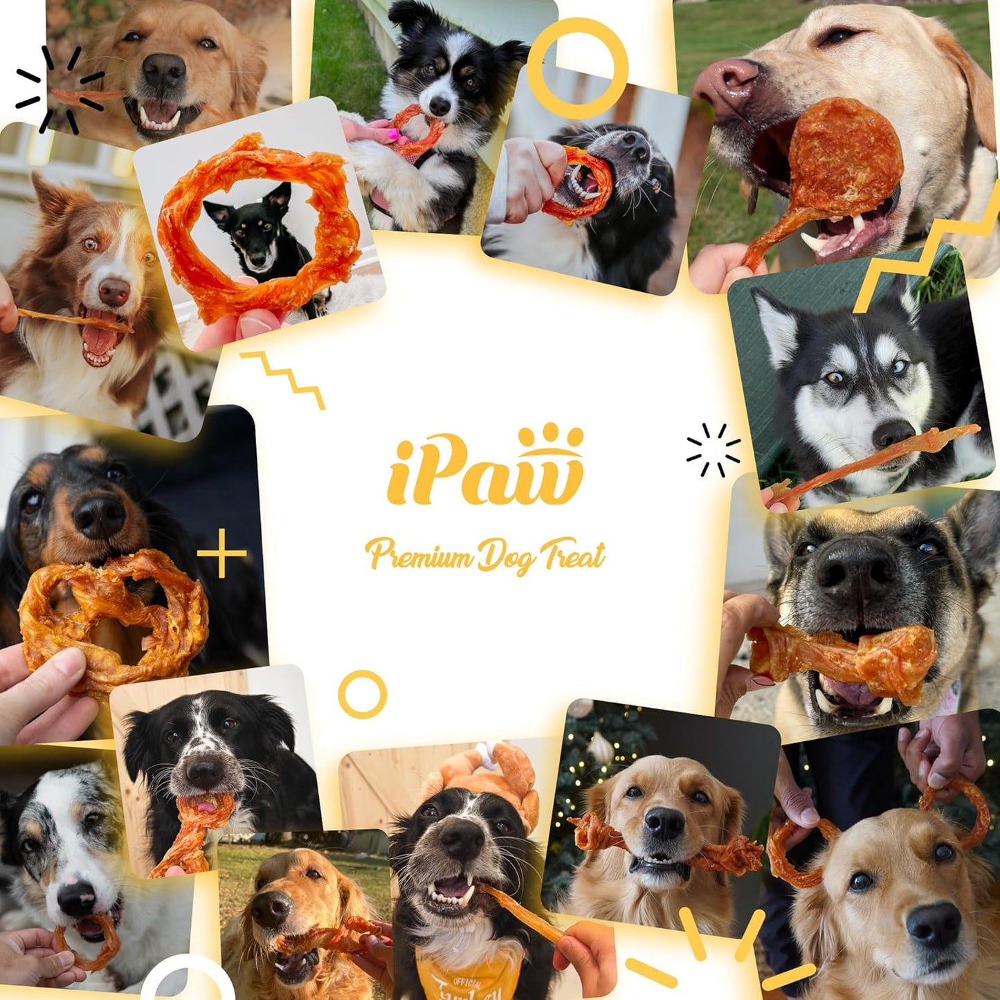 iPaw Turkey Tendons for Dogs, 100% Turkey and US Sourced Raw Material, Hypoallergenic, All Natural Human Grade Puppy Chew, Rawhide Alternative Dog Treats, 1 Unit/Pack Strip (Large)