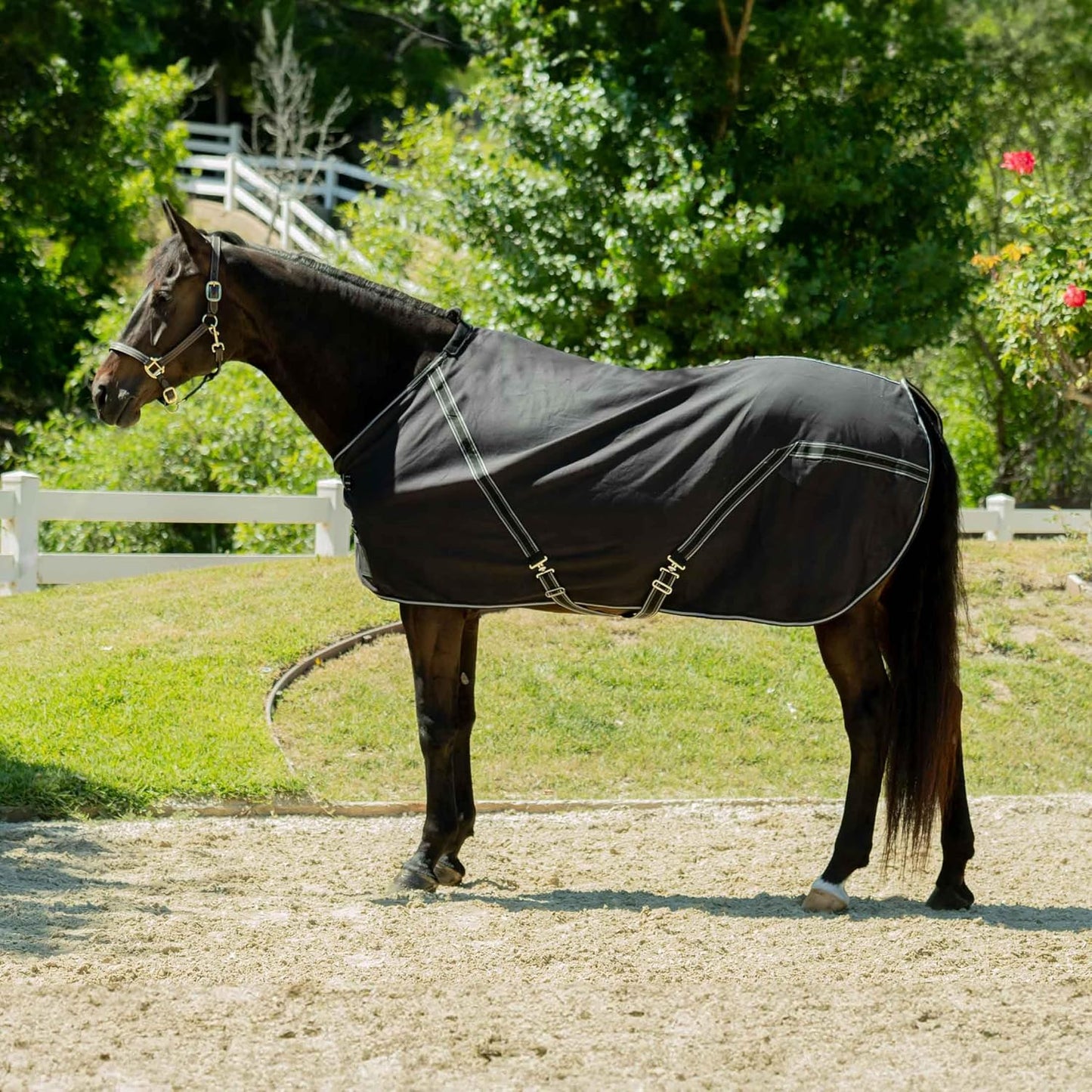 Equinavia Fryd 100% Cotton Stable Blanket for Horses | No Fill - Black - 74 in