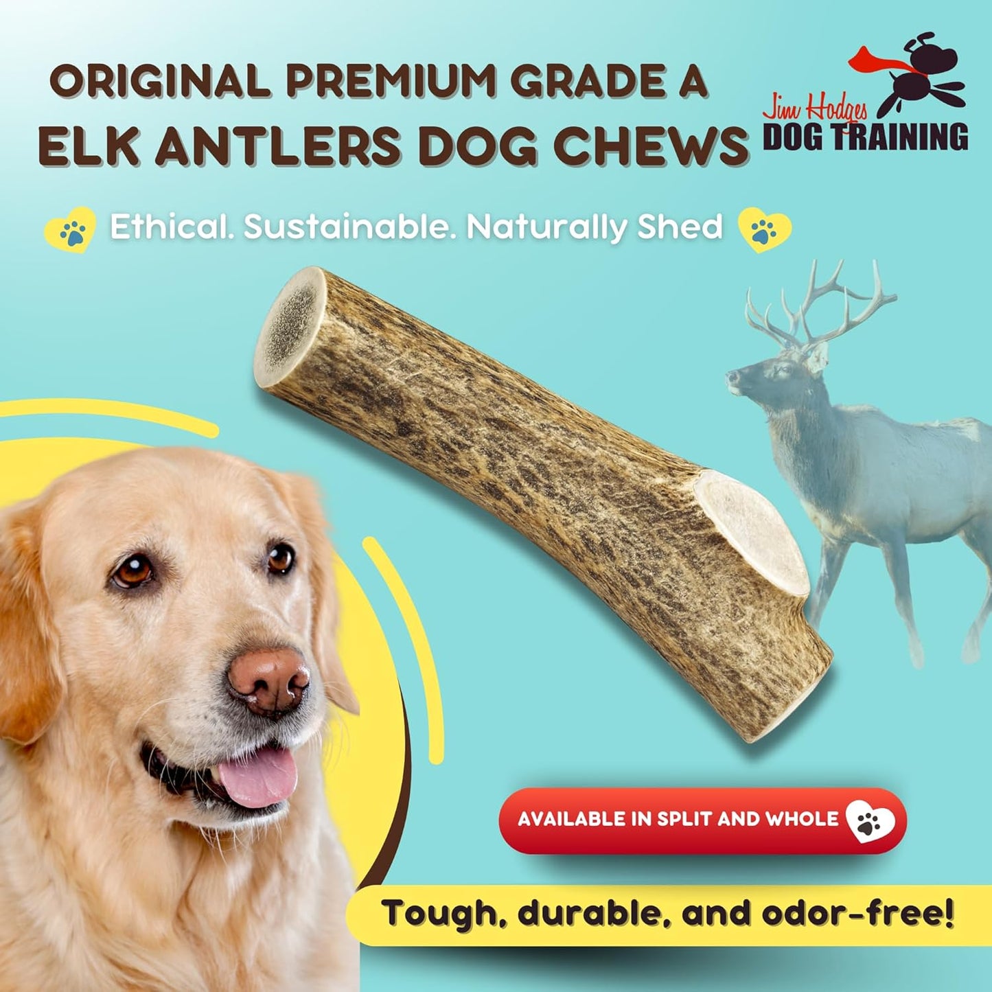 Grade A Premium Quality Elk Antler Dog Chews, Naturally Shed No Preservatives for Mild to Aggressive Chewers, Long Lasting Bone Treat Made in USA (Large Split)