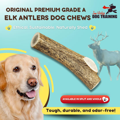 Grade A Premium Quality Elk Antler Dog Chews, Naturally Shed No Preservatives for Mild to Aggressive Chewers, Long Lasting Bone Treat Made in USA (Large Split)