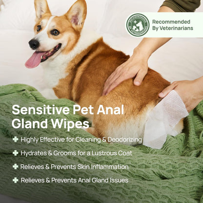 HICC PET Wipes for Dogs & Cats, Vet Recommended Cleaning Deodorizing & Soothing Allergy Infections Anal Gland Wipes, Hypoallergenic Hydrating & Nourish Fur Dog Grooming Wipes for Paw, Butt, Body