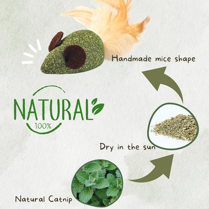 Yeahgoshopping Interactive Cat Toys Wand & 3 Pcs Catnip Mice Toys Feather Tails, Cat Exercise, Boredom Relief & Teeth-Cleaning Kitten (Cat Toys Wand + 3 Pcs Catnip Mice Toys)