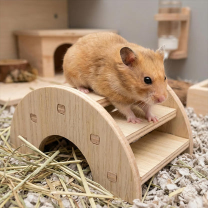 Wood Hamster Toys, Seesaw, Bridge and Hideout for Dwarf Gerbil Mouse Mice Rat Small Animals(Only for Small Hamster)