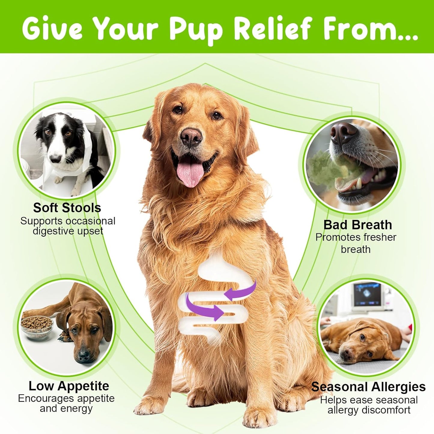 Dogs Probiotic Prebiotic & Enzyme 3-in-1 Liquid Drops, Maintain Gut Immunity Supports Digestive Health, Pre and Probiotics Supplement for Dogs (2 fl.oz /60 mL)