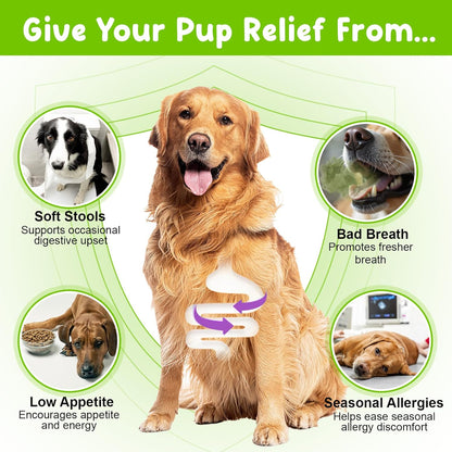 Dogs Probiotic Prebiotic & Enzyme 3-in-1 Liquid Drops, Maintain Gut Immunity Supports Digestive Health, Pre and Probiotics Supplement for Dogs (2 fl.oz /60 mL)