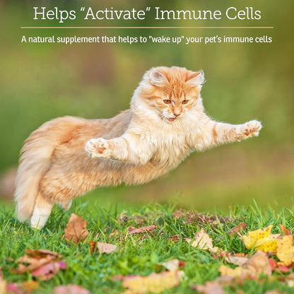 Rx Vitamins GlucaMune - Immune Support Supplement with Beta Glucan for Dogs and Cats - Strengthens Natural Defenses for Overall Health - 90ct