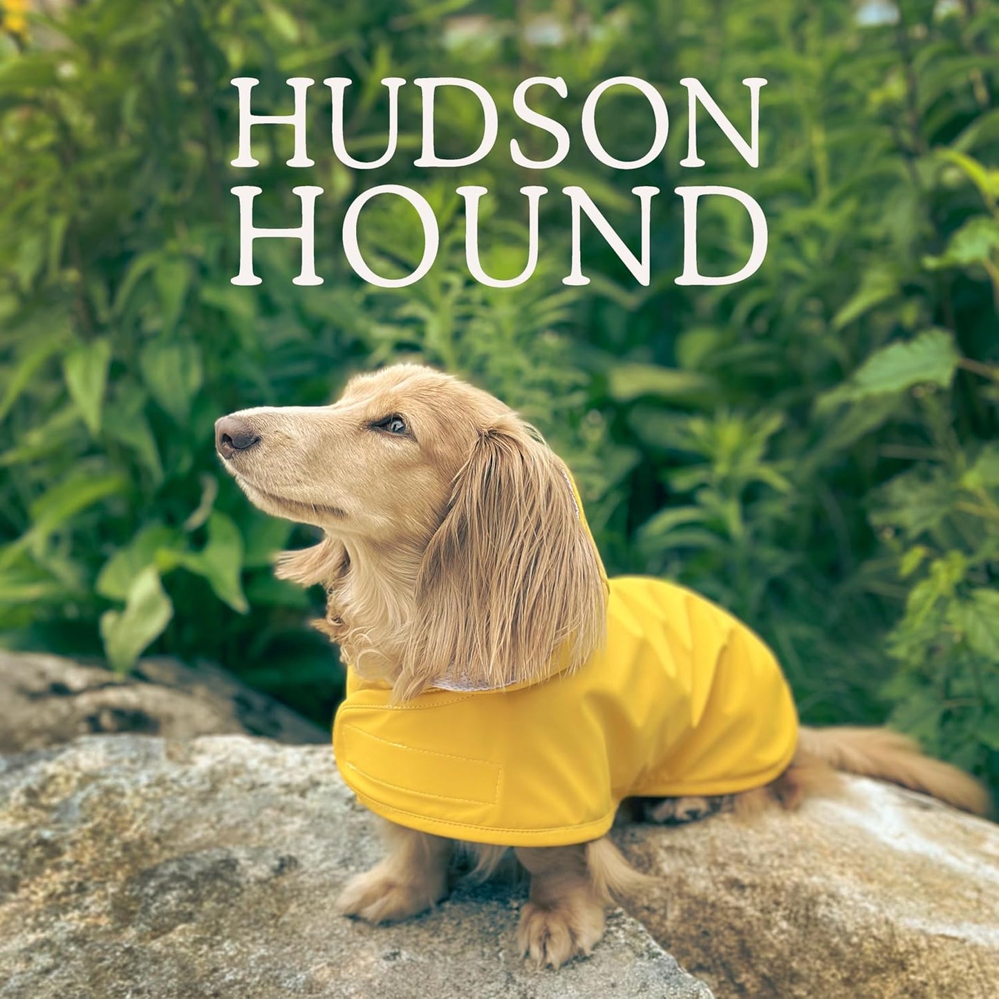 Dachshund Raincoat, Sausage Dog Rain Jacket, Long Dog Coat, Weiner Dog Raincoat, Doxie Rain Jacket (Medium)