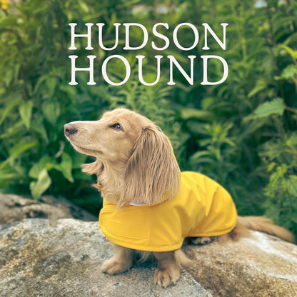 Dachshund Raincoat, Sausage Dog Rain Jacket, Long Dog Coat, Weiner Dog Raincoat, Doxie Rain Jacket (Medium)