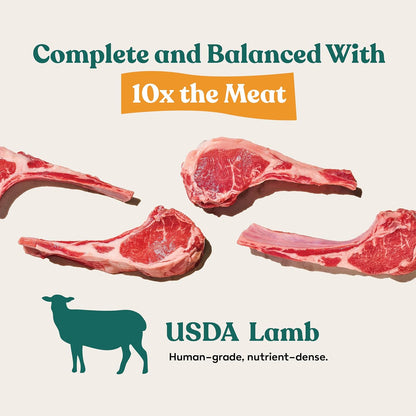 Little Hunter Freeze Dried Lamb Raw Dog Food | Grain Free, Limited Ingredient, Single Protein Meal or Mix in Topper | Novel Protein Kibble Alternative | 15 oz Bag