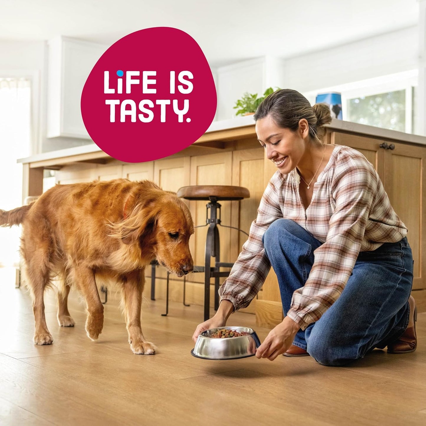 Kibbles 'n Bits Bistro Dry Dog Food, Oven Roasted Beef, Spring Vegetable & Apple Flavors for Adult Dogs, 45 lb. Bag