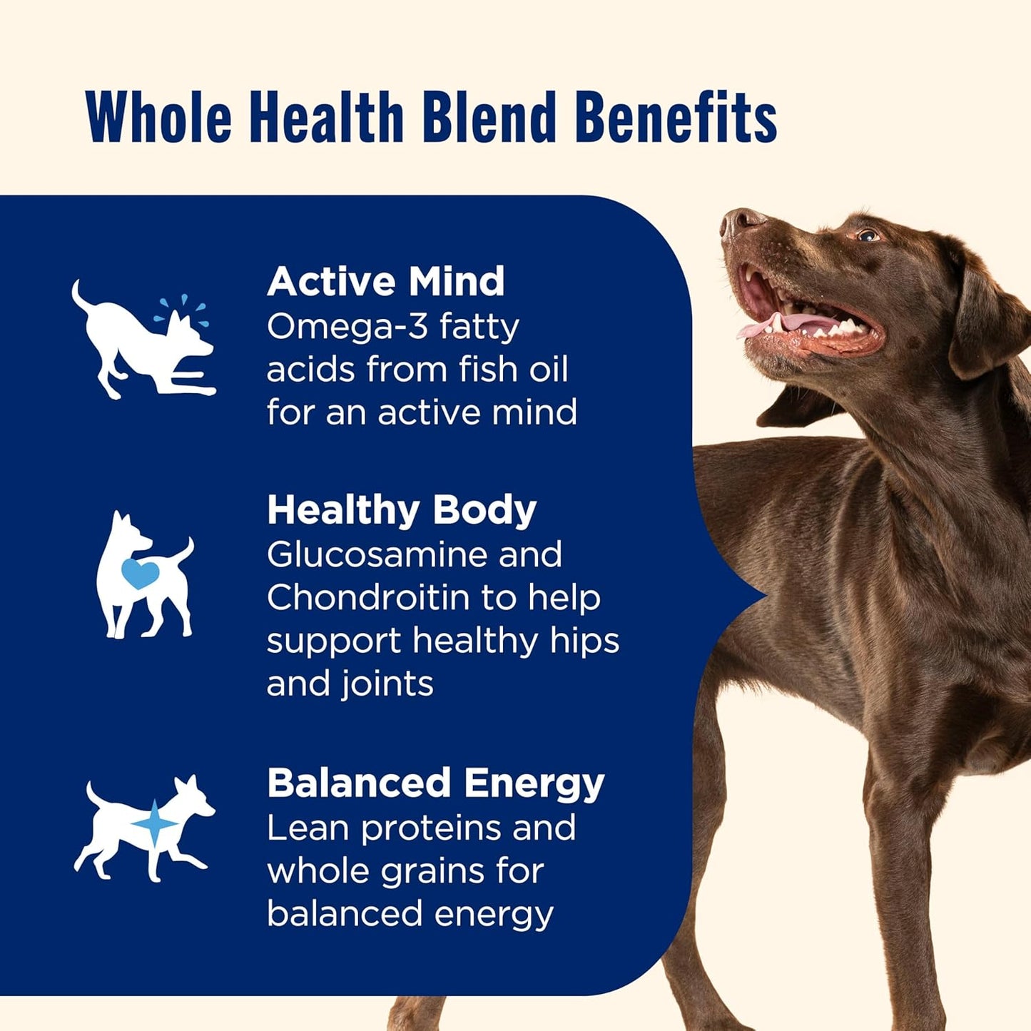 Nutrish Large Breed Real Chicken, Pea, Brown Rice & Carrot Recipe Whole Health Blend Dry Dog Food, 14 lb. Bag (Rachael Ray)