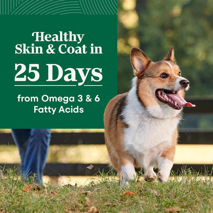 Nutro Natural Choice Small Breed Dog Food Dry, Chicken & Brown Rice Recipe, 5 lb. Bag