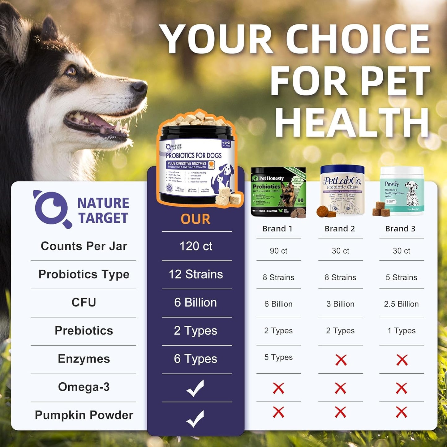 NATURE TARGET Probiotics for Dogs, 6 Billion Dog Probiotics with Prebiotics & Enzymes for Digestive & Gut Health, Pumpkin, Omega-3 & Multivitamins for Itchy Skin, Allergies, 120 Dogs Probiotics Chews