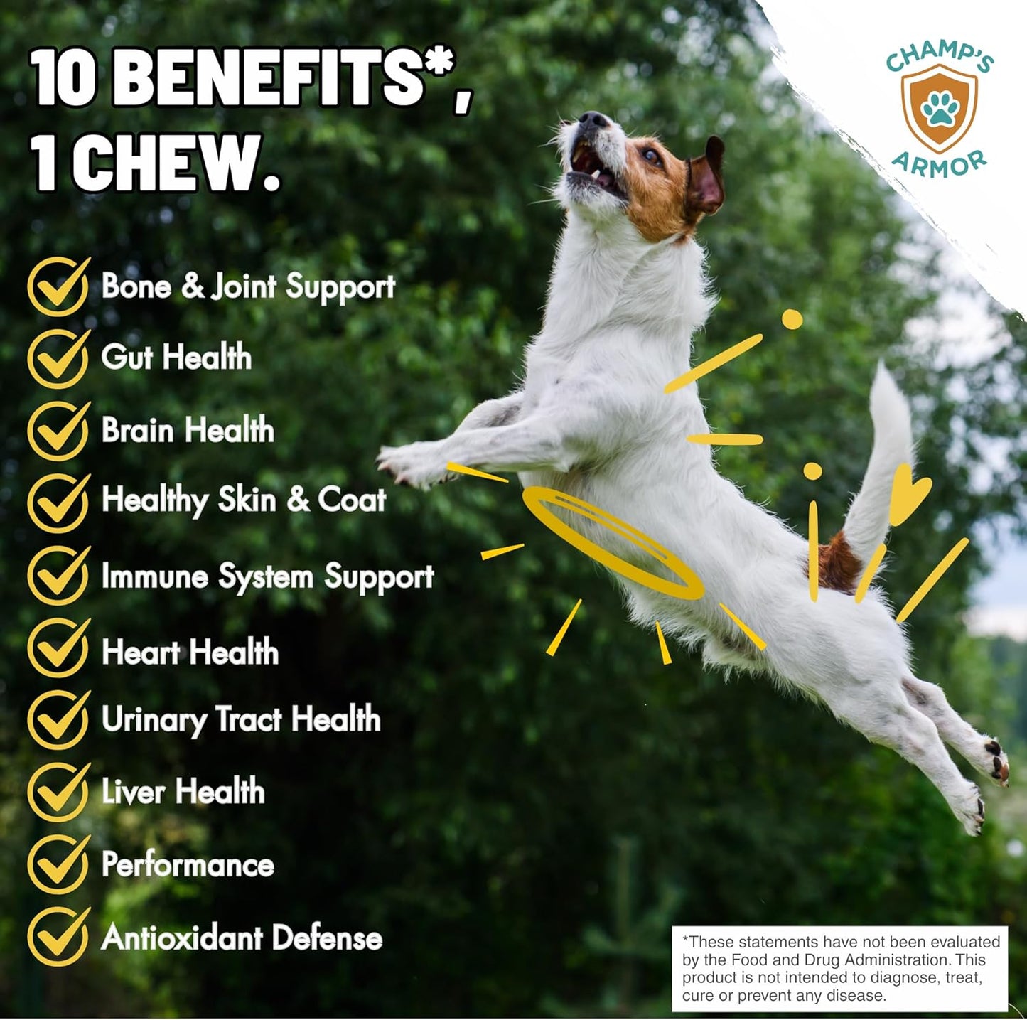 Champ's Armor 10-in-1 Multivitamin Soft Chews for Dogs – Hip & Joint, Skin, Digestion, Immune, Heart, and Brain Health. Complete Daily Support w/Glucosamine, Salmon Oil, Probiotics & More – 120 Ct