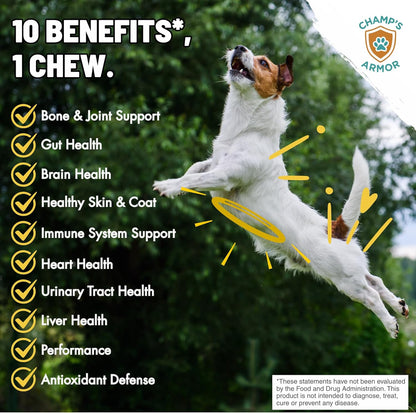 Champ's Armor 10-in-1 Multivitamin Soft Chews for Dogs – Hip & Joint, Skin, Digestion, Immune, Heart, and Brain Health. Complete Daily Support w/Glucosamine, Salmon Oil, Probiotics & More – 120 Ct