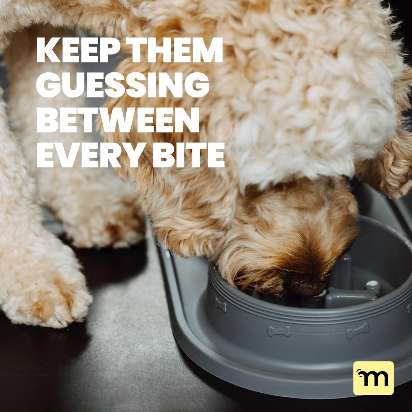 MalsiPree Cat & Dog Slow Feeder Bowl – Improve Digestion – Stainless Steel Water Bowl & Anti-Spill Silicone Mat – for Small & Medium Breeds – 15 oz - Puppy Slow Feeder