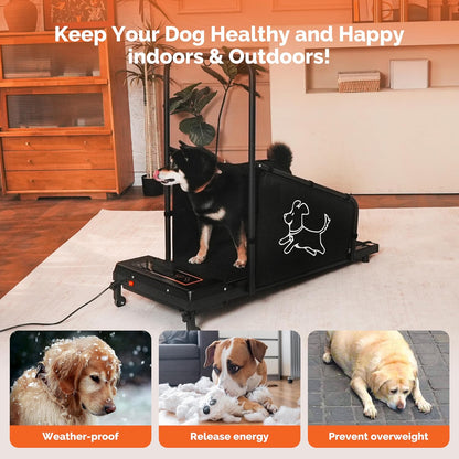 Dog Treadmill for Small/Medium/Large Dogs, Indoor Pet Exercise Machine Pacer Treadmills at Home with Remote Control, Dogs Cats Pacer Training Slatmill with LCD Display Screen and 2 Wheels, Black
