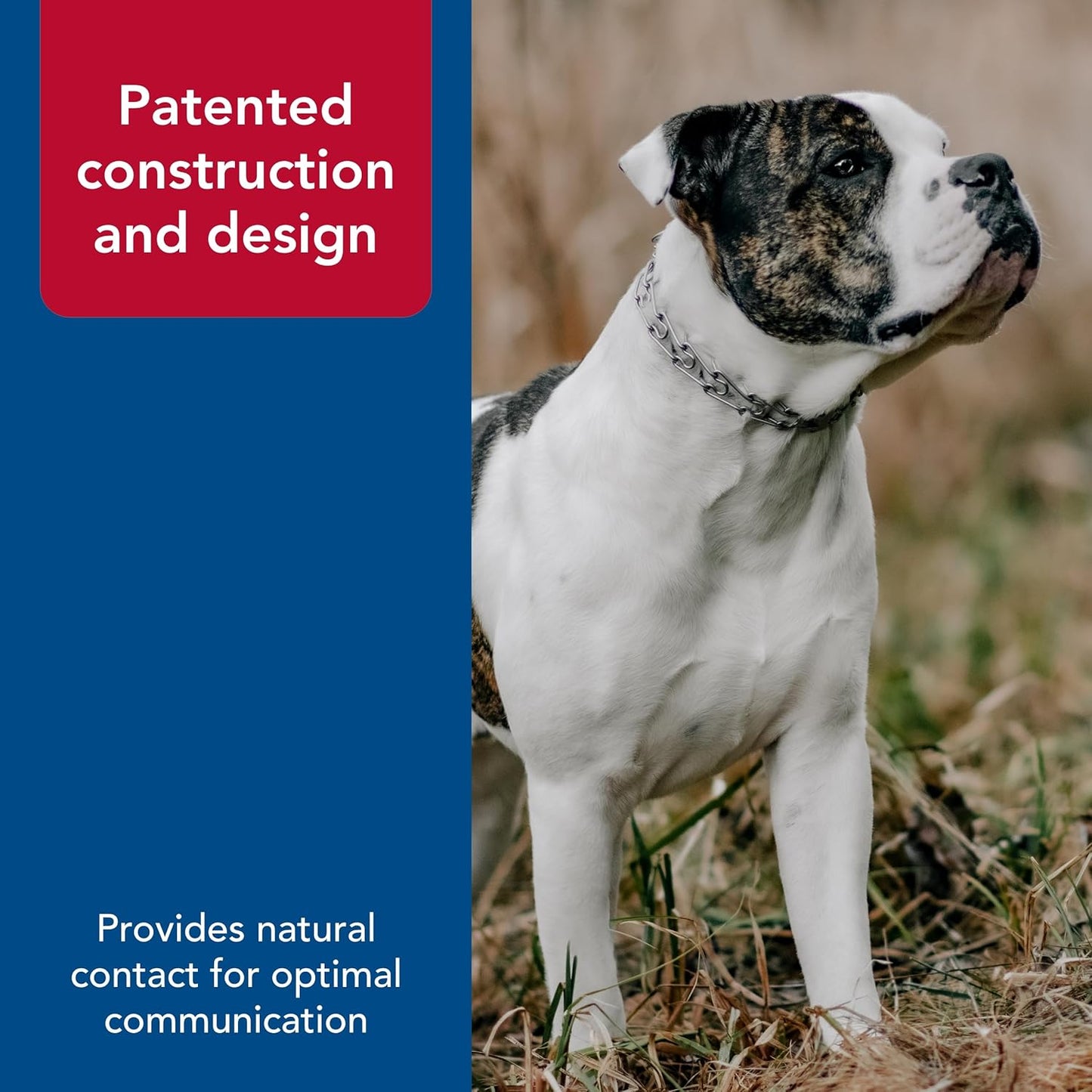 Herm Sprenger Ultra-Plus Prong Dog Training Collar, Chrome, 3.25 mm x 20" Neck Size; 22" Chain Length