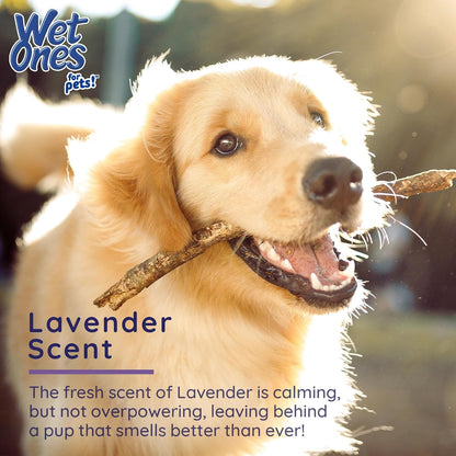 Wet Ones for Pets Antibacterial Calming Wipes with Chamomile, Lavender Scent - Dog Cleaning Wipes - Scented, Durable and Disposable Dog Wipes for Paws, 30 Count