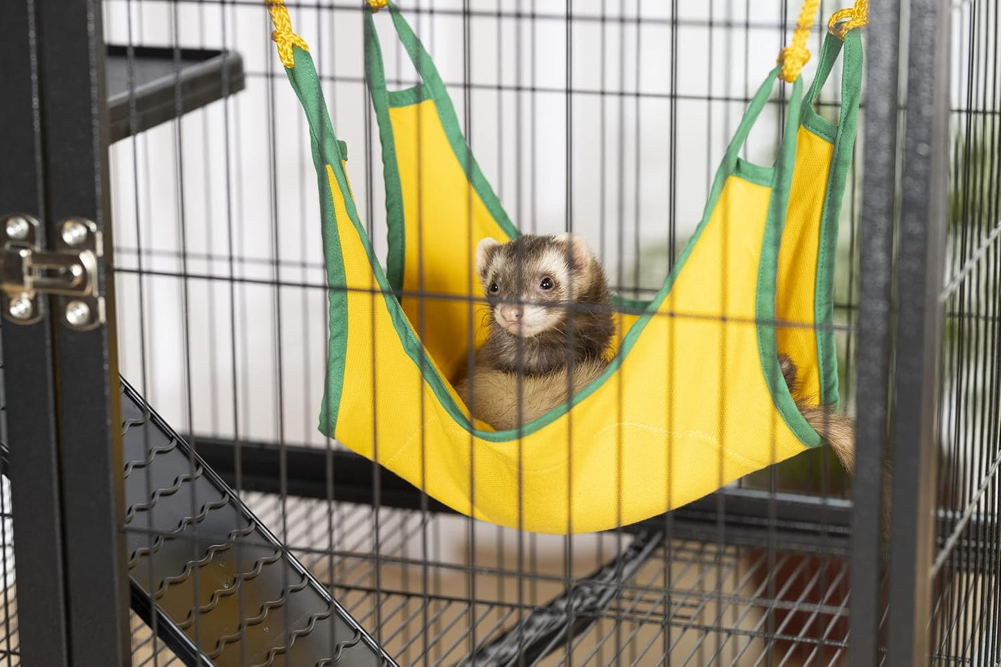 Prevue Pet Products 485 Feisty Ferret Home with Stand, Black Hammertone