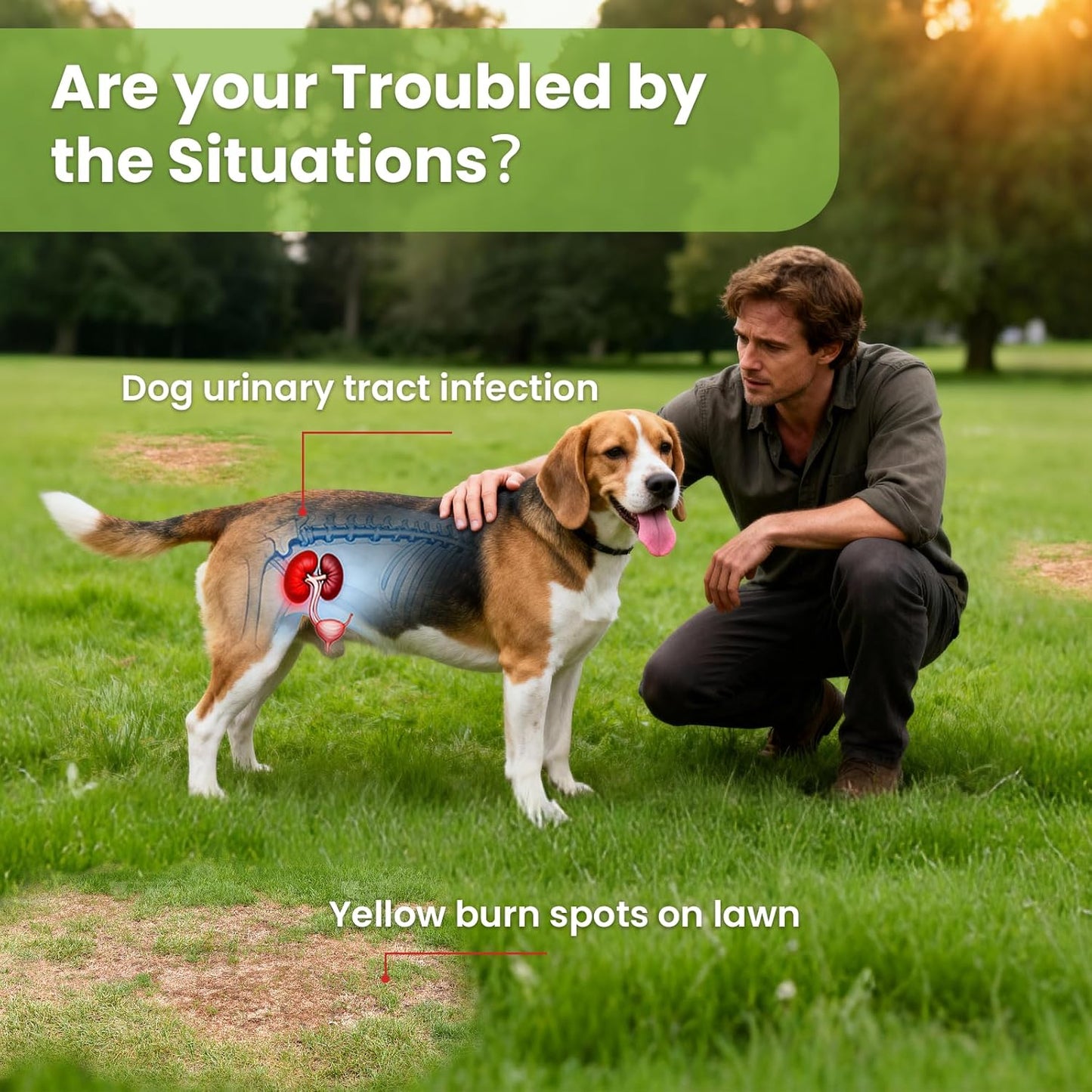 VUN Green Grass Dog Chews,Dog Urine Neutralizer for Lawn,Grass Saver Green Lawn Chews,Yellow Grass Spots&Lawn Burn,Support Urinary&Digestive with DL-Methionine,Cranberry&Probiotics-100 Soft Chews